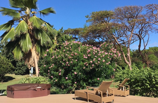 Planta baja de una villa con piscina junto al mar en el campo de golf de campeonato