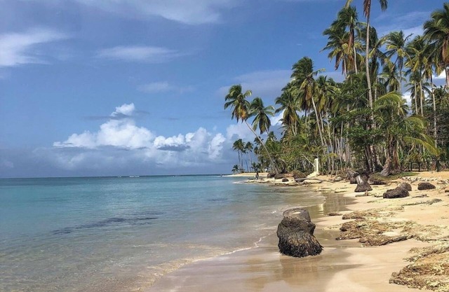 PlayaBonita-LasTerrenas 6Bds+4BR+10Pax+ WiFi-BBQ+NearBeach