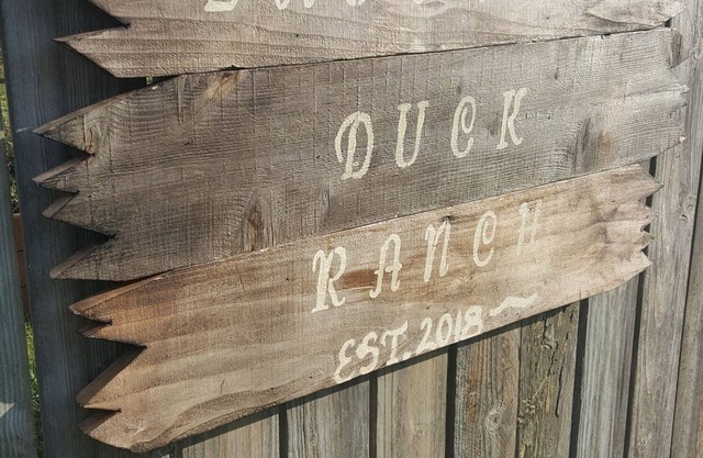 RIENDO RANCHO DE PATO .... ¡Propiedad del canal y a pocos pasos de la playa!