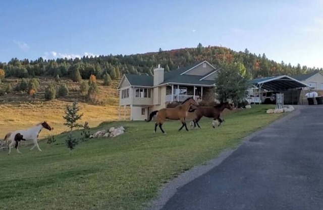 Lava Hot Springs Country Stay