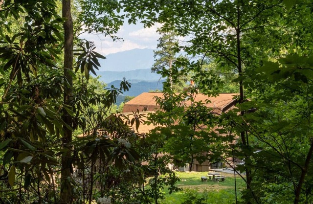 Lazy Bear Cabin w/ Breathtaking Views!