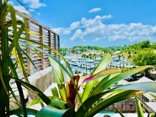 Le "61" MARINA ROOFTOP 2CH 2SDB TERRASSE MARINA