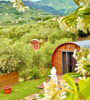 Le Botti Fiorentine
