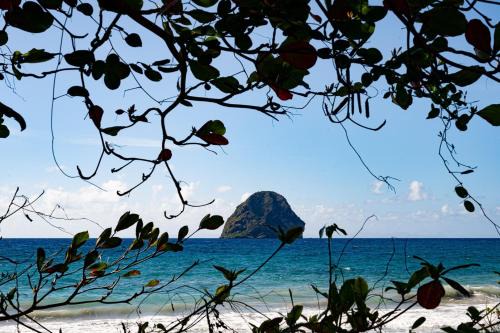 Le Bungalow la Rose Bleue