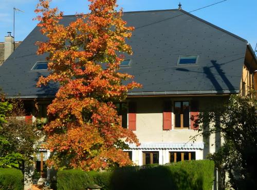 Le Cabanon Studio 35 M²