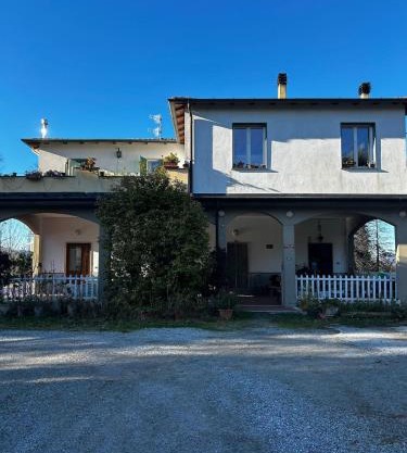 Le camelie 2 di Francesca
