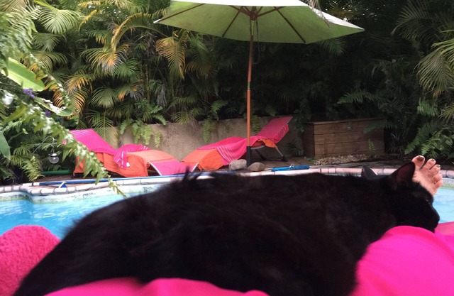 Le Chalet De Léna, un descanso poético