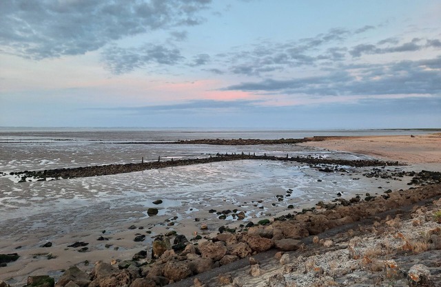 Le Chalet Médocain Entre mer et Estuaire