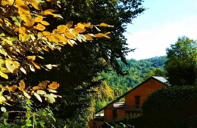 Le Charme Ardennais au Cœur des Montagnes