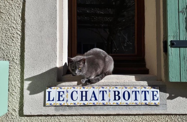 Le Chat Botté - Vankantiehuis in Languedoc-Roussillion