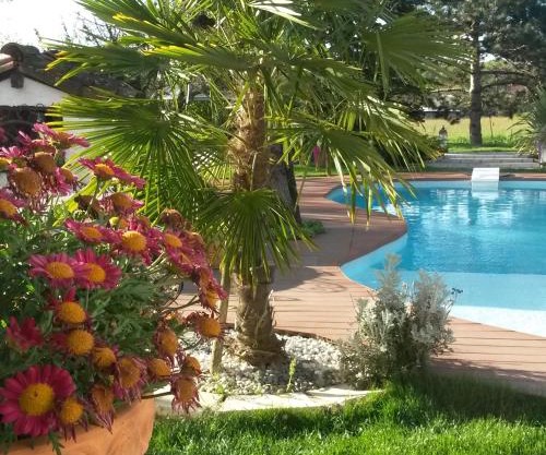 Le Clos de Saint Amour