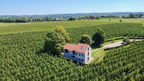 Le Clos du Verger