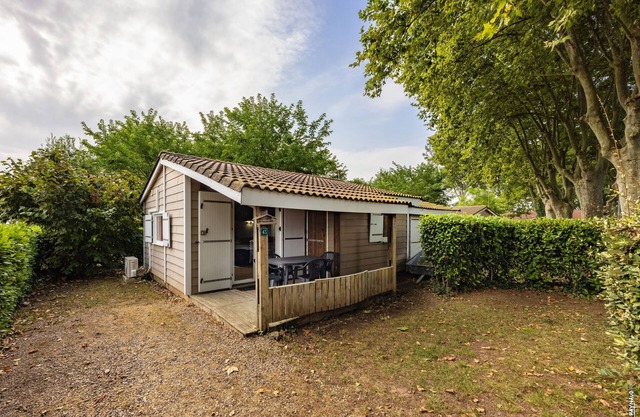 Le Cocon du Cèdre - Swimming pool - Terrace