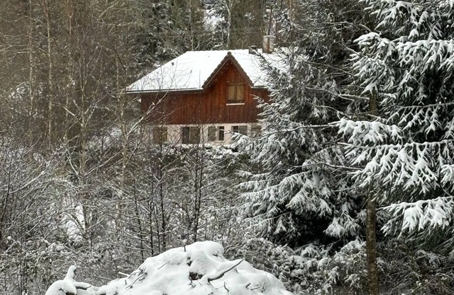 Le Domaine du Bambois Chalet 15pers 5min from Gérardmer Spa Sauna Etang Pétanque