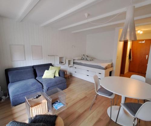 Le Flocon Studio in Ovronnaz close to the baths