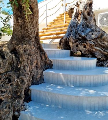 Le Fronde Vieste