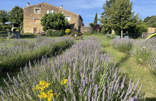 Le Gîte D'agathe en Luberon, Vivre une Expérience en Pleine Nature !