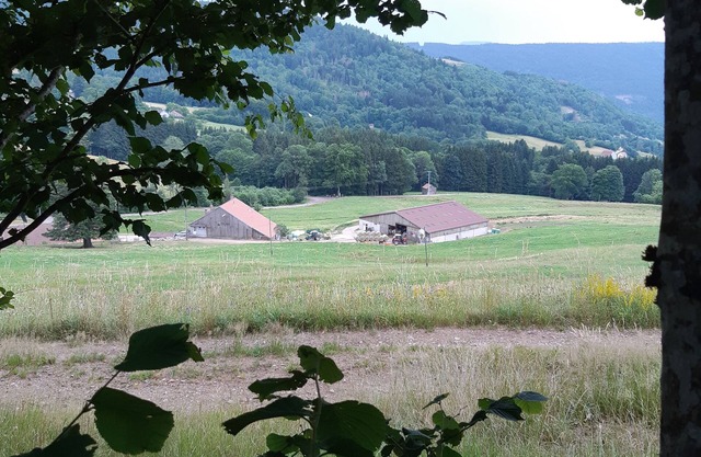 Le Gîte du Chat Gru, on a farm in the Vosges mountains