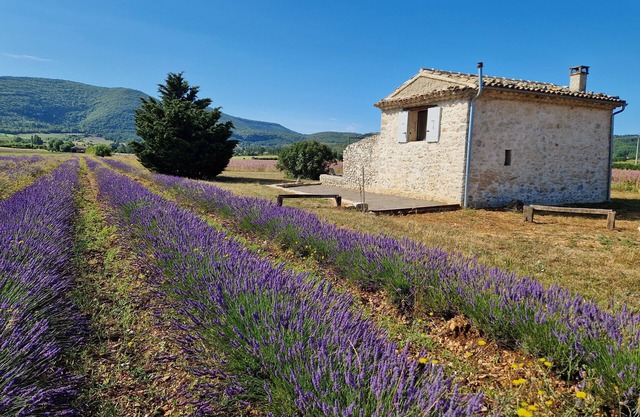 Le Grangeon des Hermas an exceptional, peaceful spot on the Sault plain