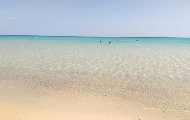 Le lagon de Hammamet