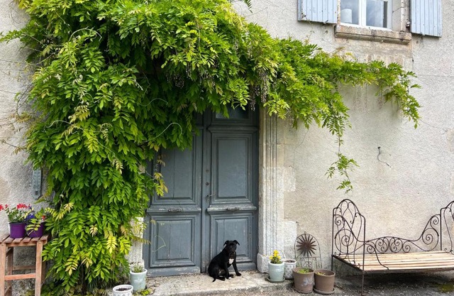 Le Loriot