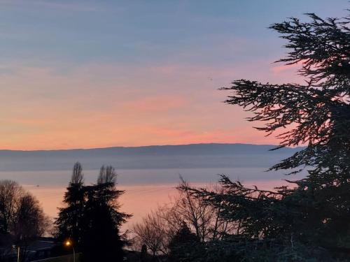 Le Mirabeau Vue Lac