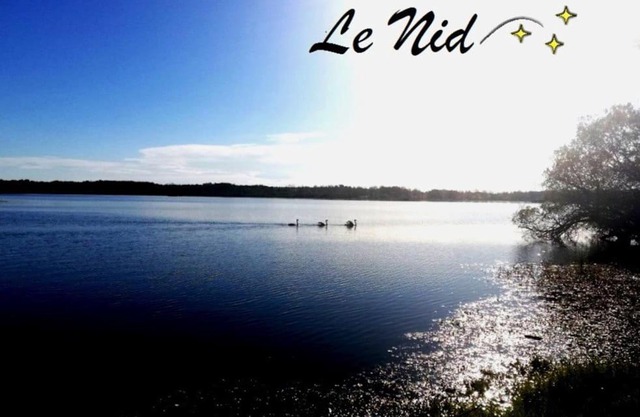 Le Nid