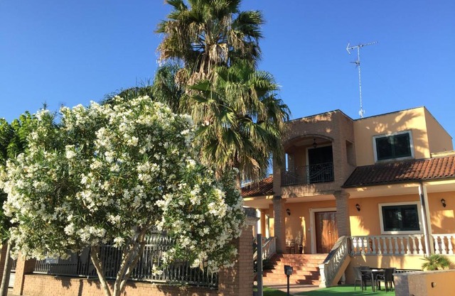 Le Palme B&B