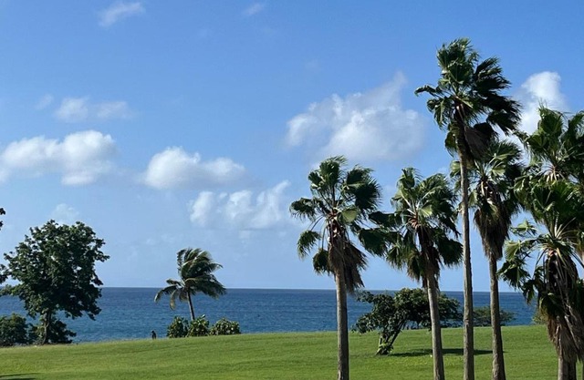 Le paradis bleu de Ste Luce T3 vue mer magnifique dans une résidence de vacances