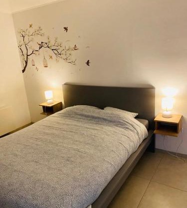 Le Paradis d'Ayli