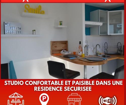 Le petit studieux - Parking - Animaux acceptés - Centre ville accessible à pied