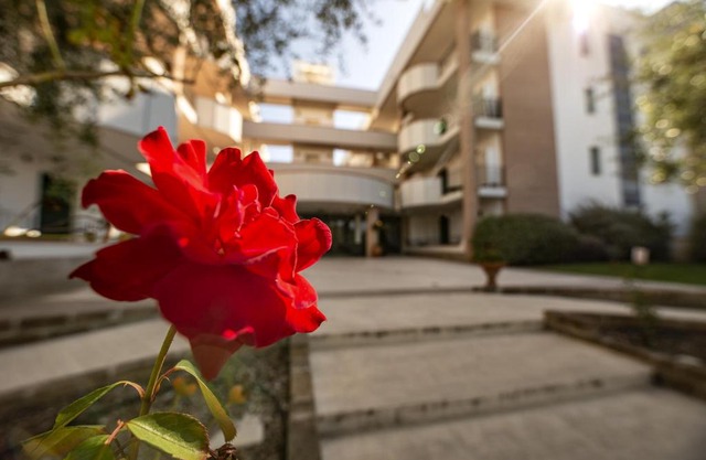 Le Residenze di Santa Costanza - Mirto/Corbezzolo