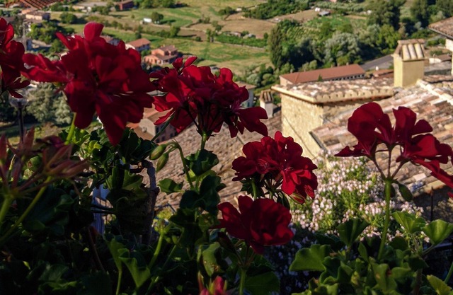 LE ROCCHE - Debajo del castillo, ZAFFIRO Apartment con vistas al SPA y al Black River
