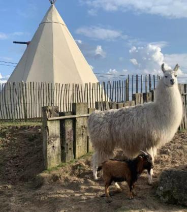 Le tipi d'Adri