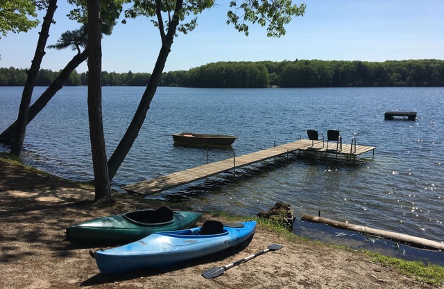 Pino inclinado: una cabaña tranquila frente al lago
