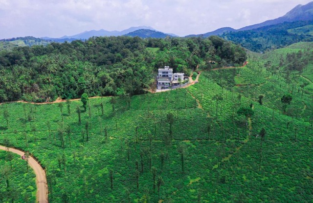Leaves Resort Vythiri Wayanad