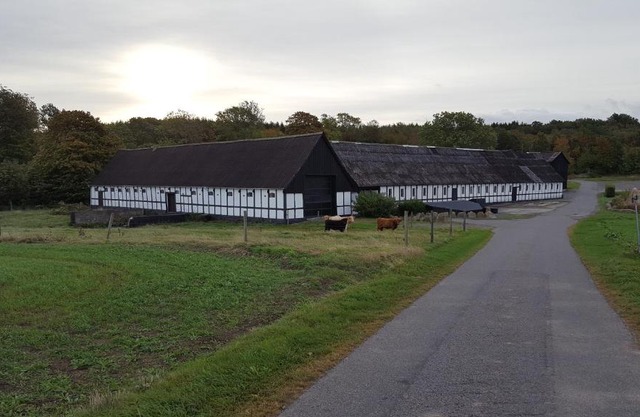 Lehnsgaard