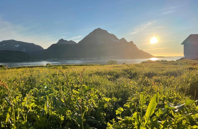 Leilighet med havutsikt