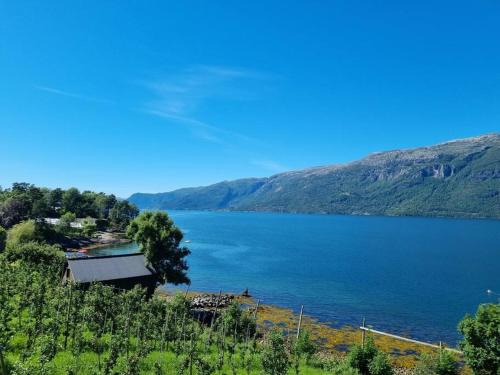 Leilighet v Hardangerfjorden