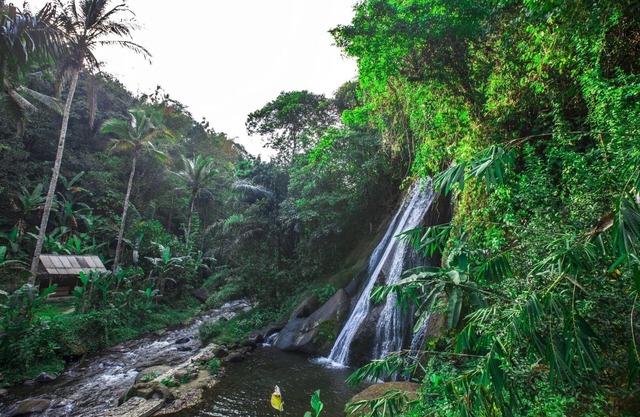 Leke Leke Waterfall View Noche única bajo las estrellas