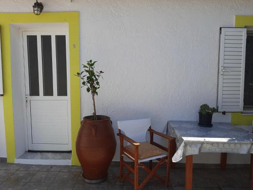 Lemon Garden 2