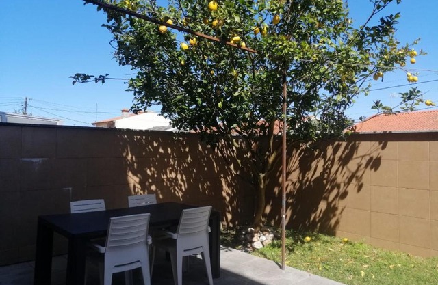 Lemon Tree Apartment