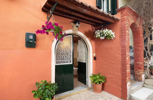 Lemon Tree House