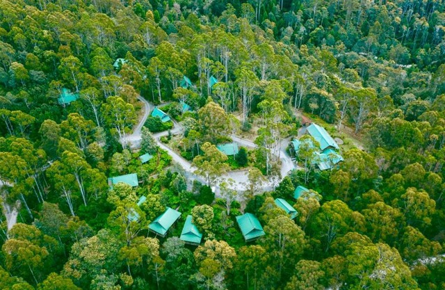 Lemonthyme Wilderness Retreat