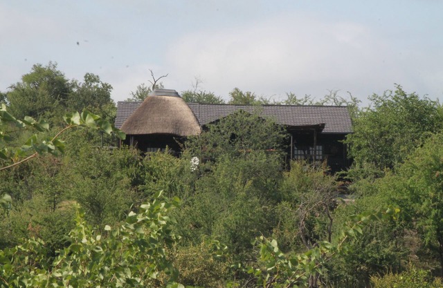 Leopard Rock Bush Lodge en África. Reserve hoy para su Big 5 Experience.