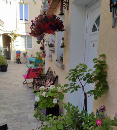 Les Coquelicots