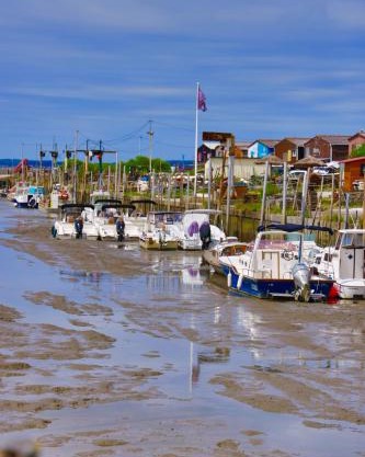 les coquilles