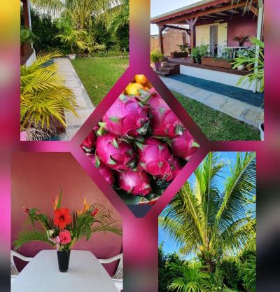 Les cottages de roseau