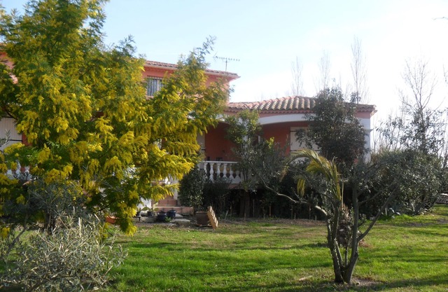 LAS PALMAS Y ROSAS DE LAURIERS, ROSAS DE LAURIERS