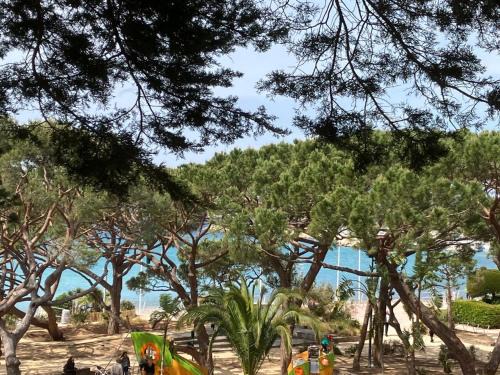 Les Pins